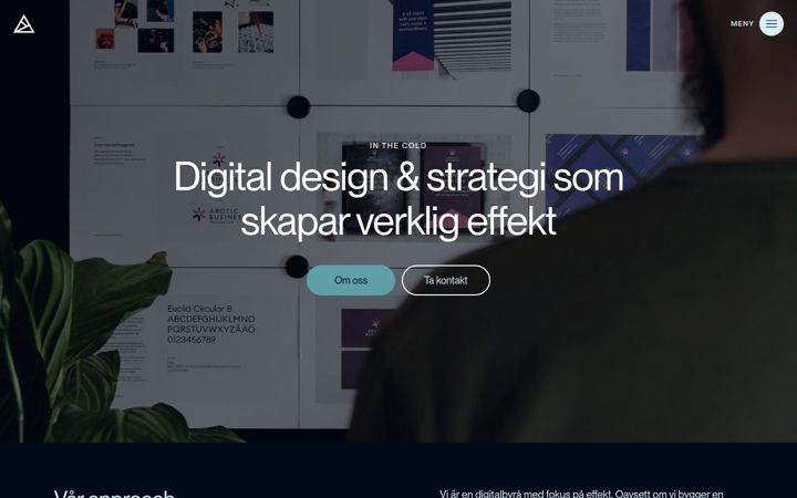 Screenshot of inthecold.se