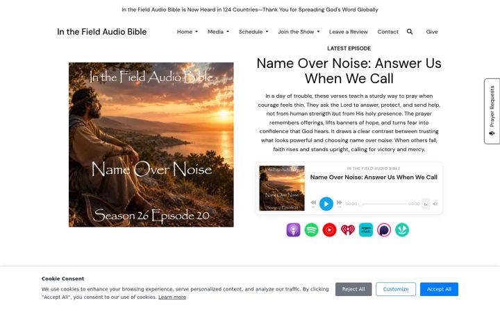 Screenshot of inthefieldaudiobible.com
