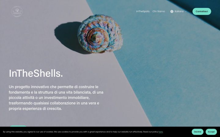 Screenshot of intheshells.com