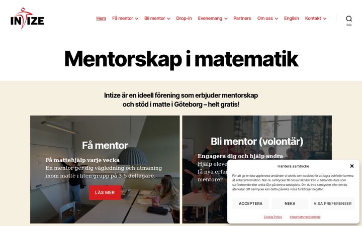 Screenshot of intize.org