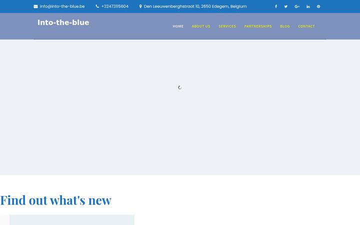 Screenshot of into-the-blue.be