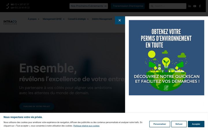 Screenshot of intraco-consulting.com
