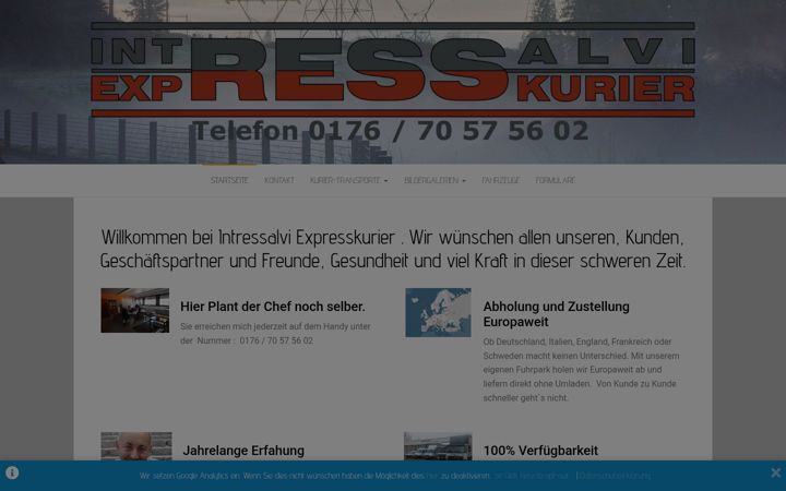Screenshot of intressalvi.de