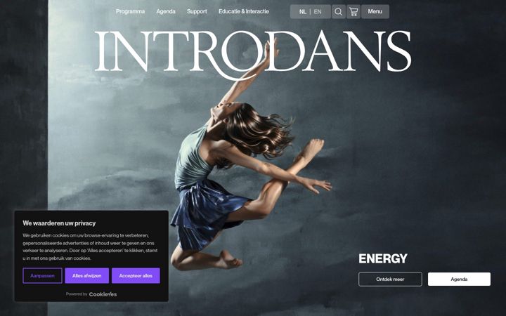 Screenshot of introdans.nl