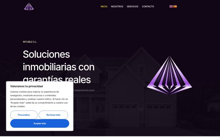 Screenshot of intuible.es