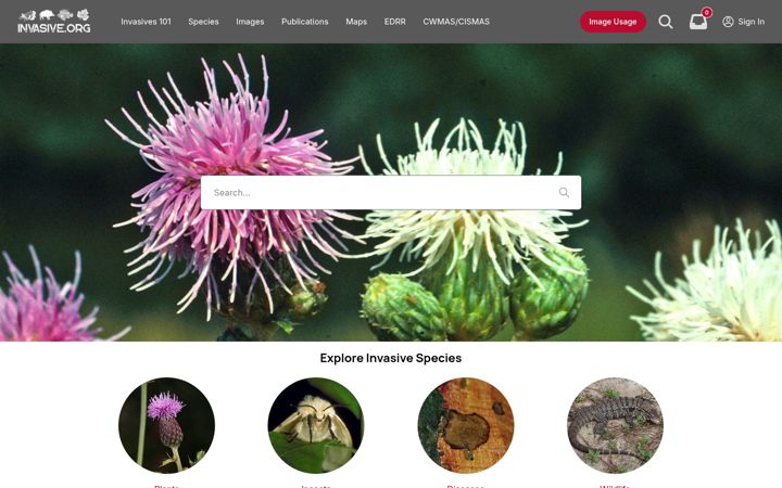 Screenshot of invasive.org