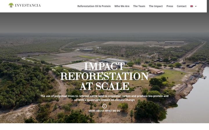 Screenshot of investancia.com