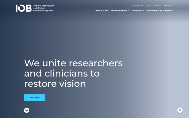 Screenshot of iob.ch