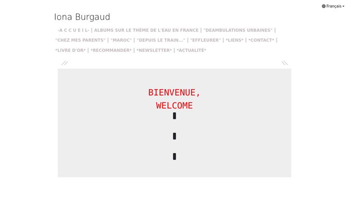 Screenshot of ionaburgaud.com