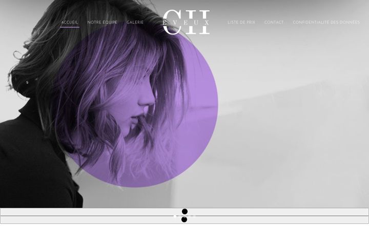 Screenshot of ionos-servicedeconception-coiffure.fr