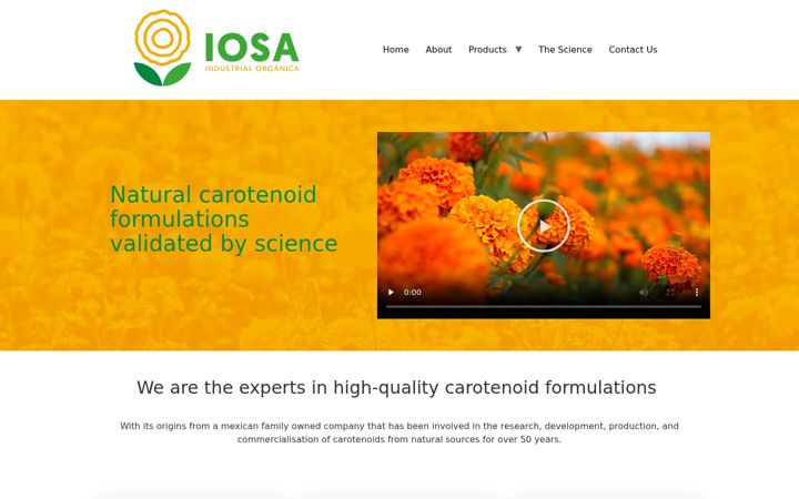 Screenshot of iosa.com.mx