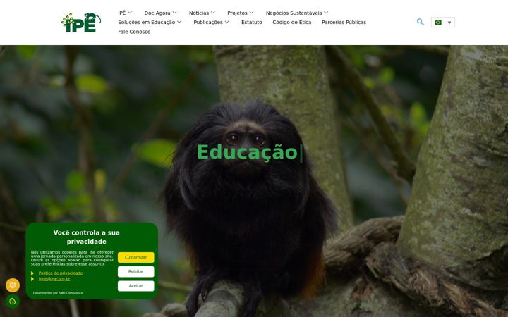 Screenshot of ipe.org.br