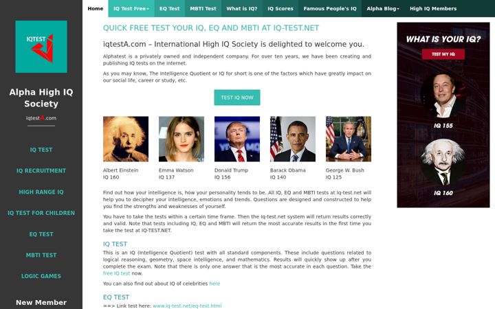 Screenshot of iq-test.net