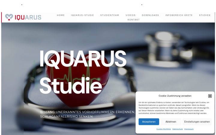 Screenshot of iquarus-studie.de