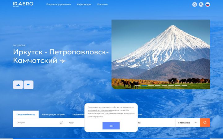 Zrzut ekranu iraero.ru