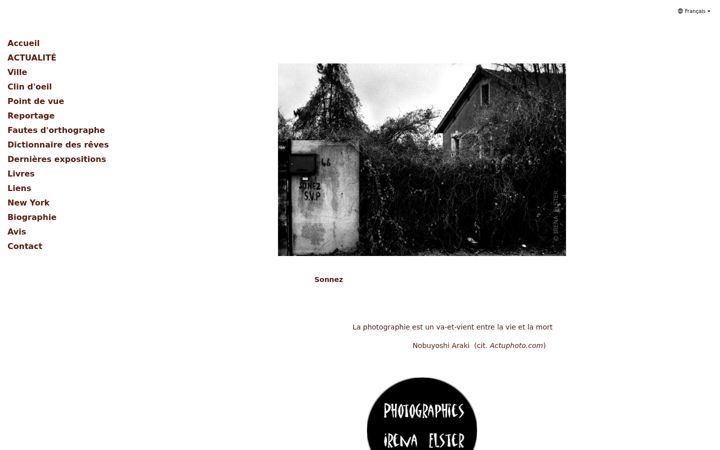 Screenshot of irena-elster.fr
