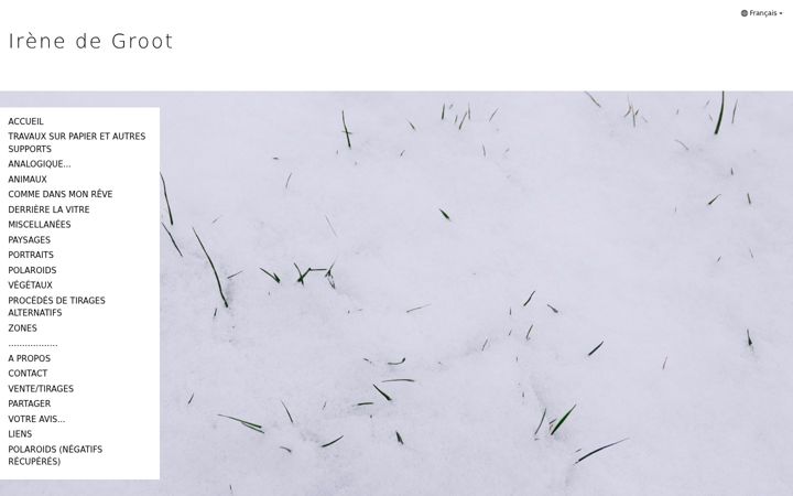 Screenshot of irenedegroot.com