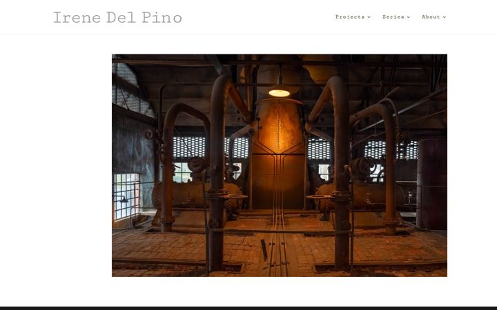 Screenshot of irenedelpino.com