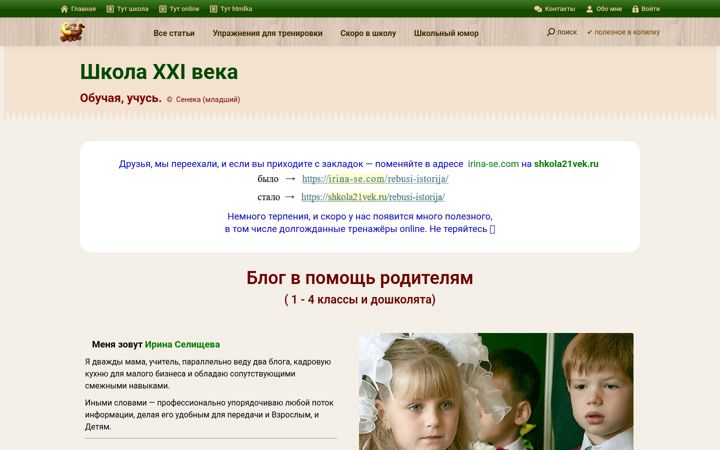 Screenshot of irina-se.com