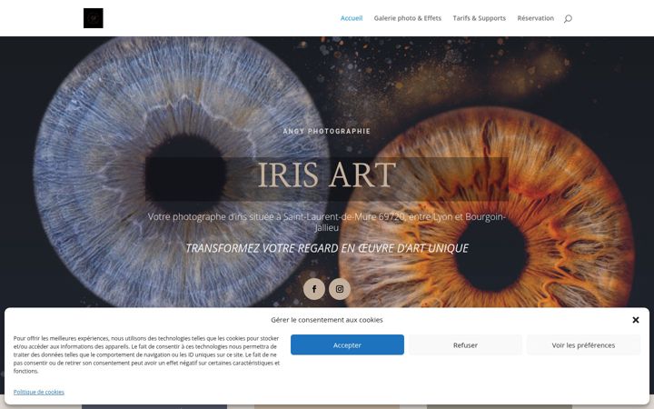 Screenshot of iris-art.fr
