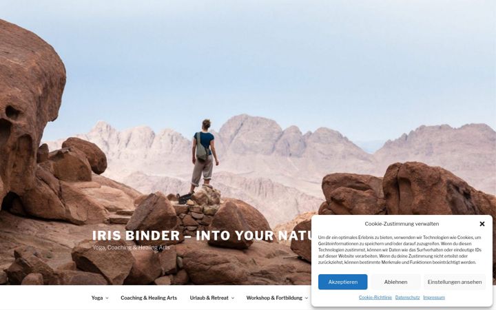 Screenshot of irisbinder.de