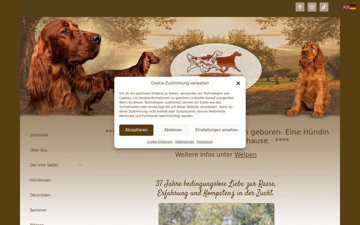 Screenshot of irish-setterzucht.de