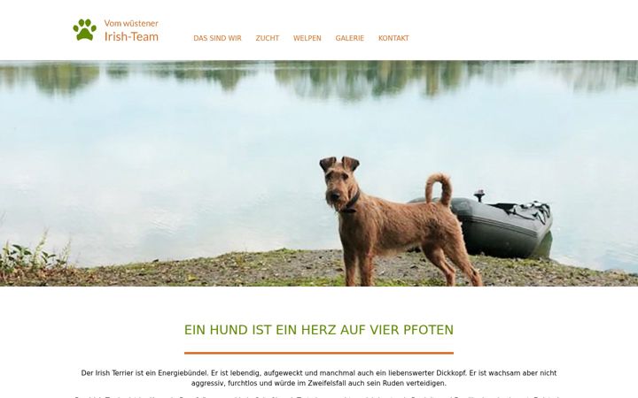 Screenshot of irish-terrier-bad-salzuflen.de