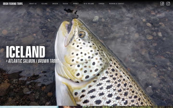 Screenshot of irishfishingtrips.com