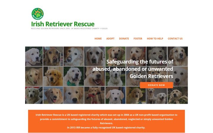 Screenshot of irishretrieverrescue.co.uk