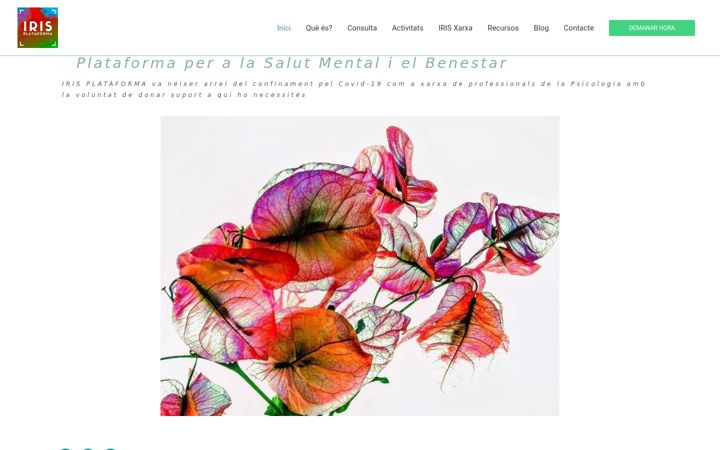 Screenshot of irisplataforma.com