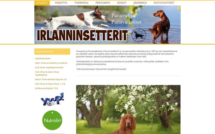 Screenshot of irlanninsetterit.com