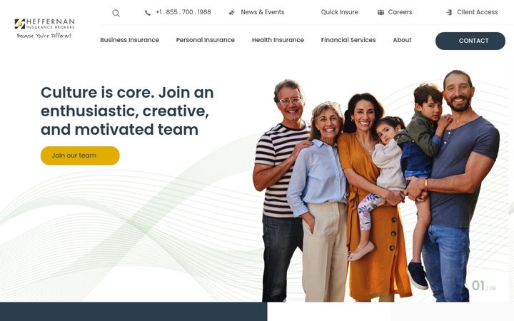 Screenshot of ironguardsolutions.com