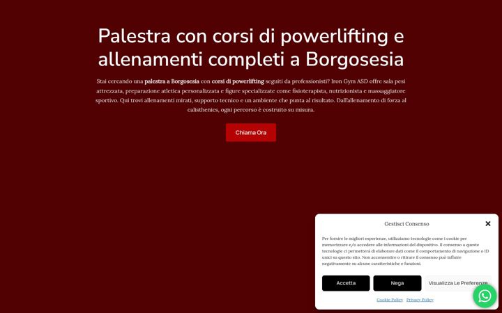 Screenshot of irongymasd.it