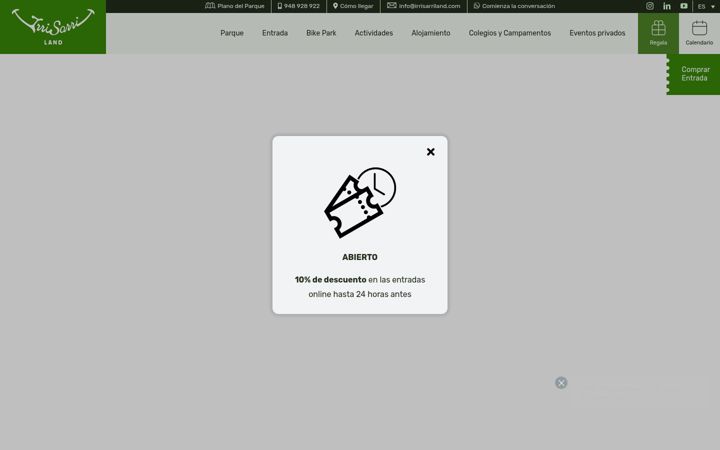 Screenshot of irrisarriland.com