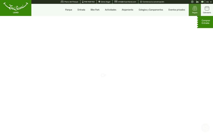 Screenshot of irrisarriland.fr