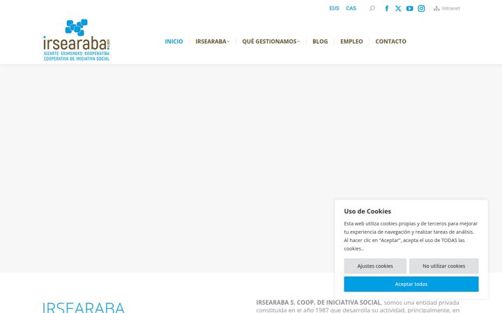 Screenshot of irsearaba.org