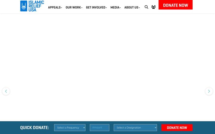 Screenshot of irusa.org