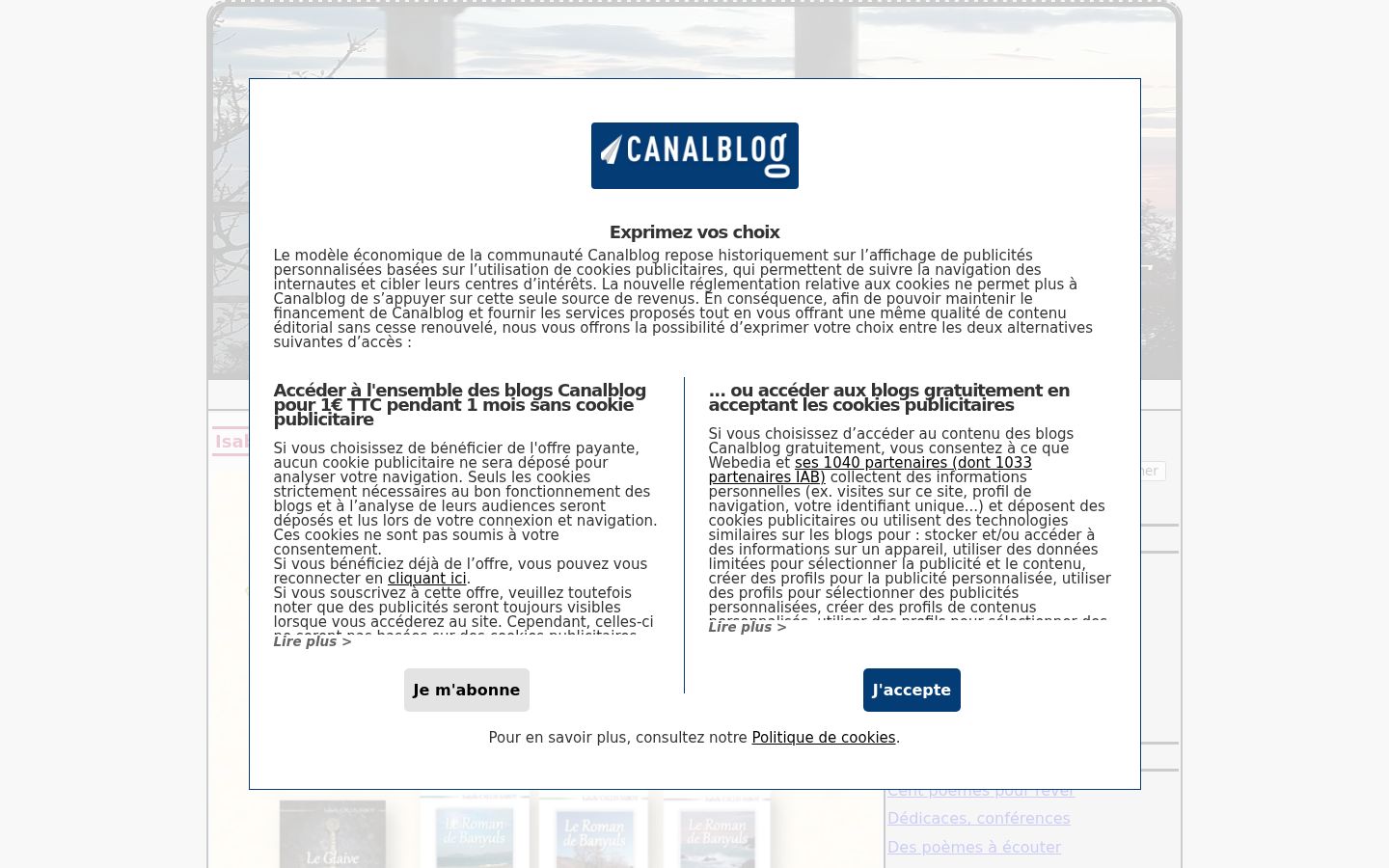 Sutikimo reklamjuostės, rodytos prieš bet kokią sąveiką, ekrano kopija