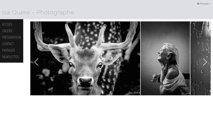 Screenshot of isaquere-photographe.com