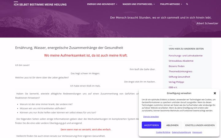 Screenshot of isbmh.com