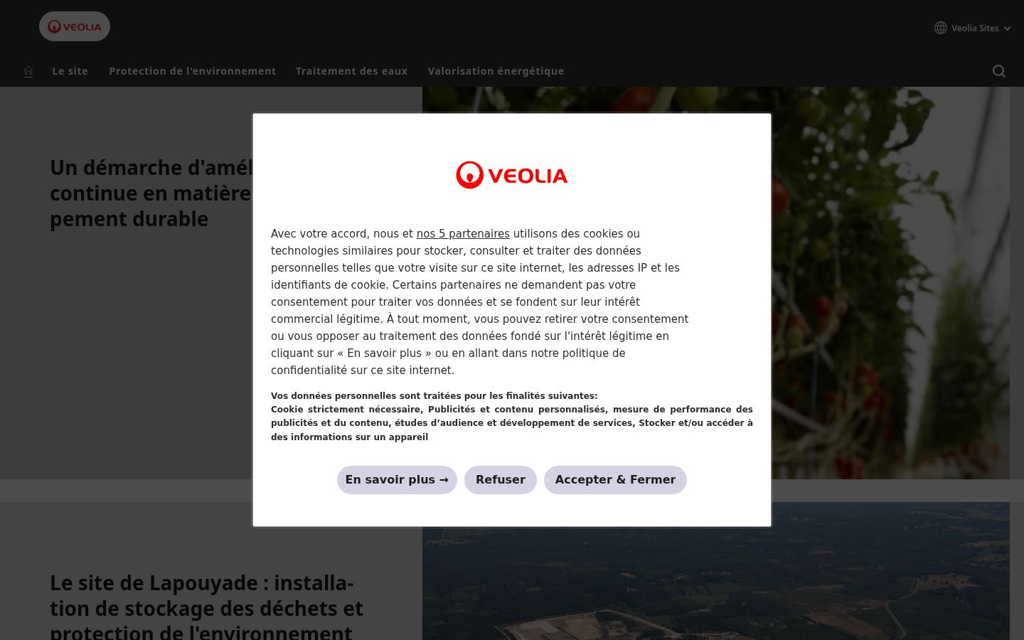 Screenshot of the consent banner shown before any interaction