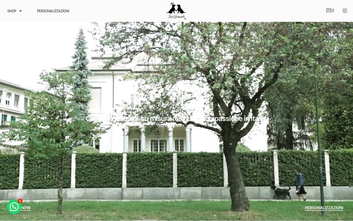 Skjermbilde av isiandfriends.com