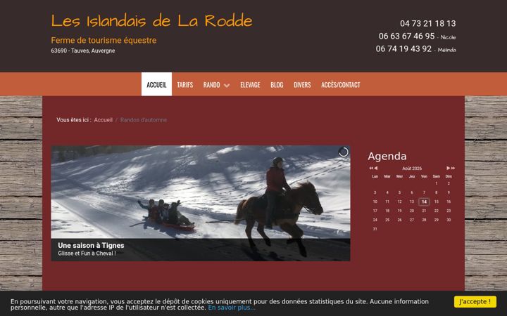 Screenshot of islandaisdelarodde.fr