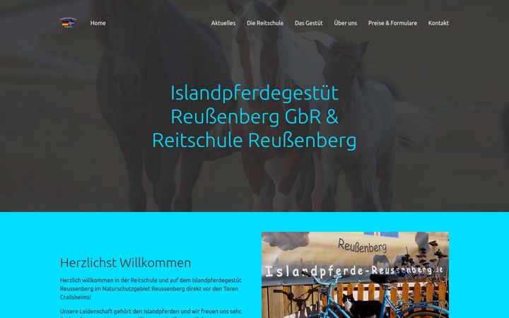 Screenshot of islandpferde-onolzheim.de