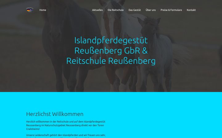 Screenshot of islandpferde-reussenberg.com