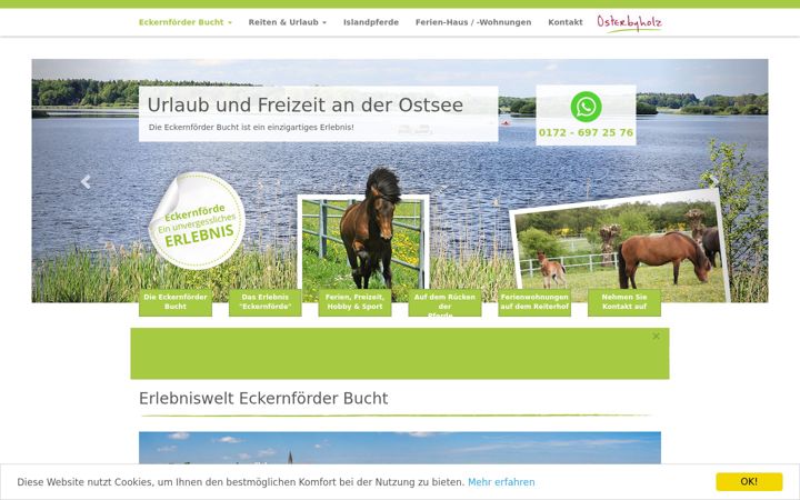 Screenshot of islandpferdegestuet-osterbyholz.de