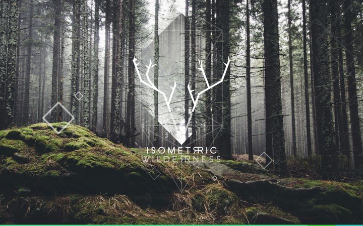 Screenshot of isometricwilderness.com