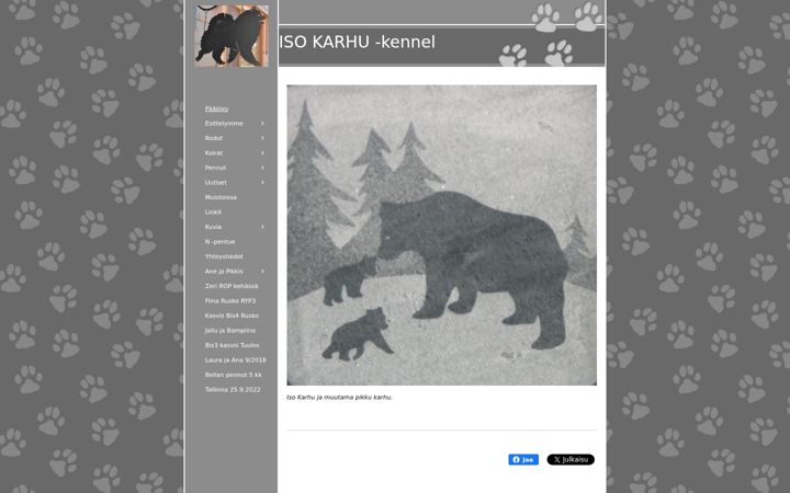 Screenshot of isonkarhun.com