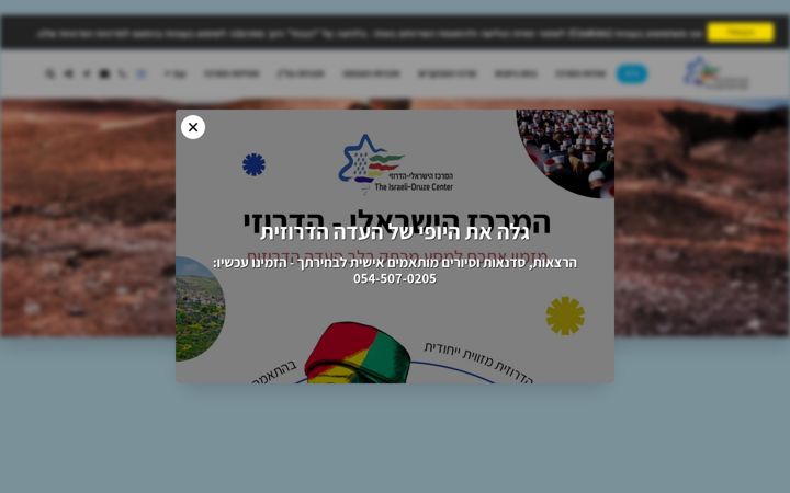 Screenshot of israelidruzecenter.com