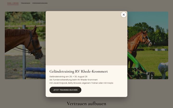 Screenshot of issel-cross.de